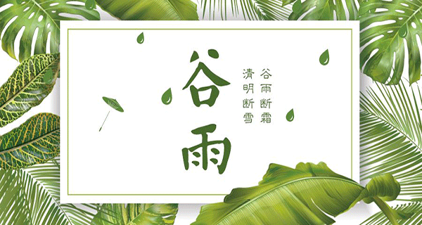 巴比熊板材 | 立夏少半月，谷雨是今朝。