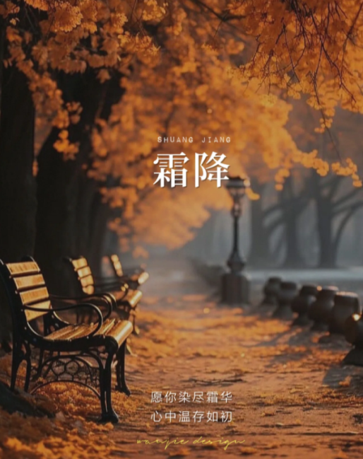 巴比熊板材 | 寒霜降，染秋霜