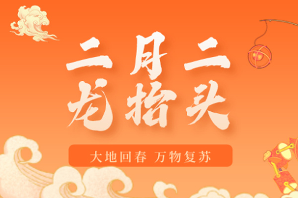 巴比熊板材 | 二月二龙抬头,一年都有好运头